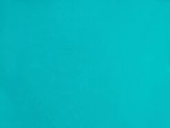 Top Jade Frufru -Agua de Coco Shop 19811152851 EXTRA 6