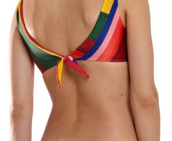 Colorful Print Bralette Top - Top Noruega Mambo -Agua de Coco Shop top blueman top noruega mambo 6