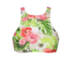 Bandeau Bikini Top - Soutien Acacia Rosa